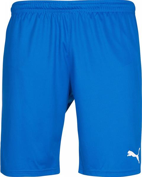 puma pitch shorts